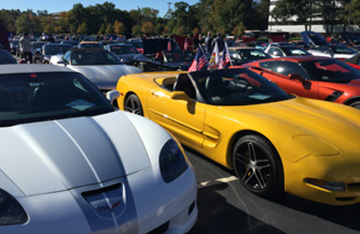 Beautiful Corvettes